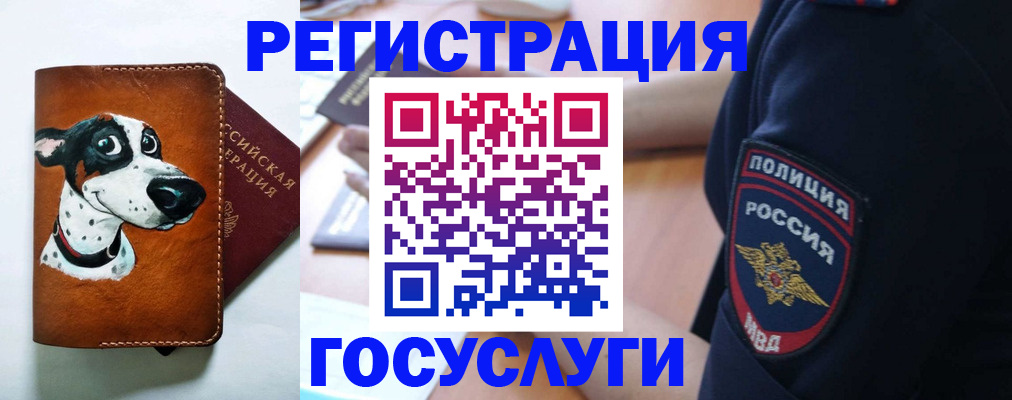 прописка иностранных граждан в Ростове-на-Дону